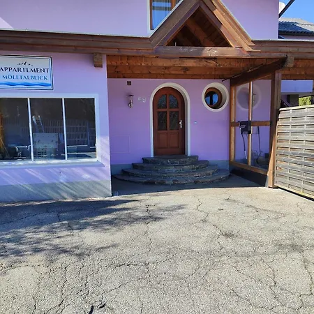 Moelltalblick Appartement Napplach